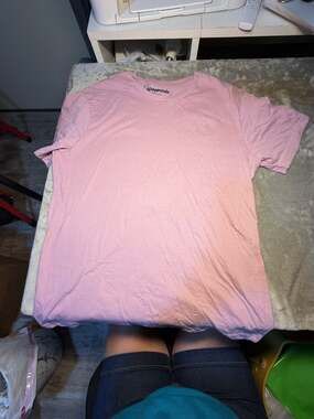 Aéropostale Logo Embroidered Crewneck T-Shirt in Light Pink